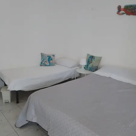 Guest house Ippocampo
